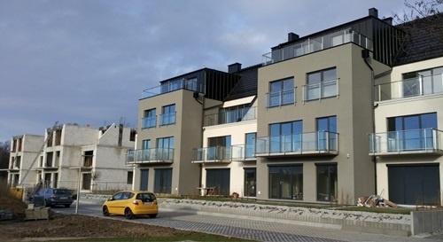 zołta poziomica